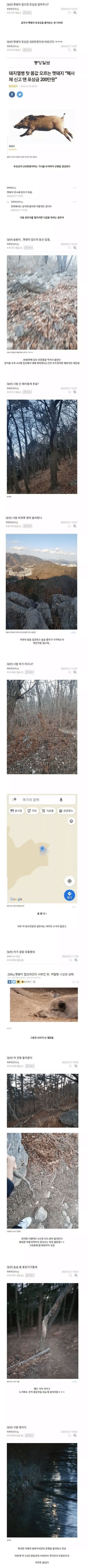 멧돼지 잡으러 실제 산으로간 어느 디씨인.jpg