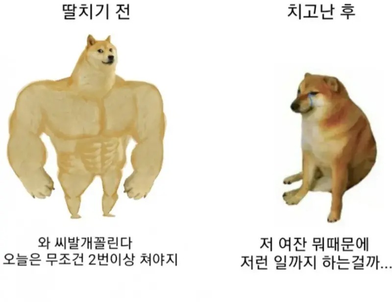 전과 후 반응.jpg