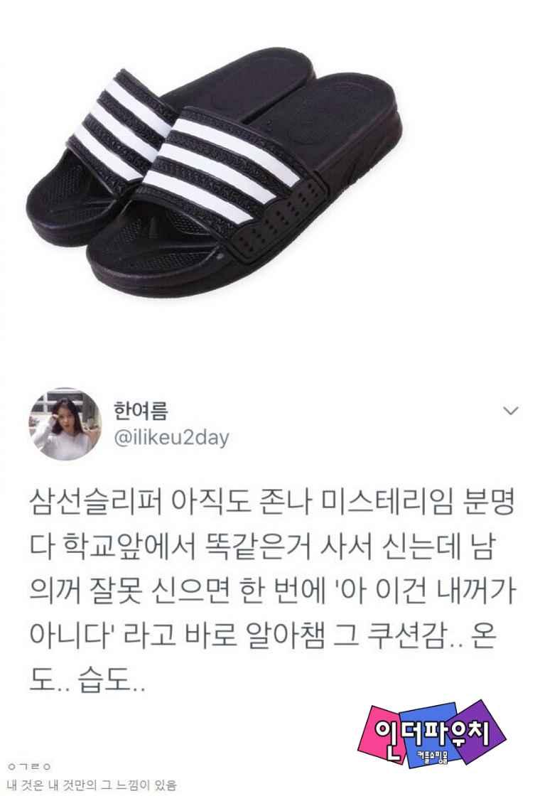 삼선쓰레빠의 미스터리.jpg