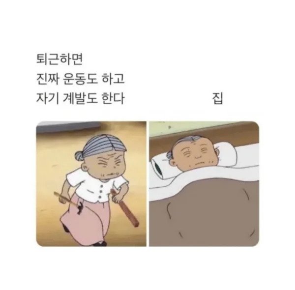 생각과 현실.jpg