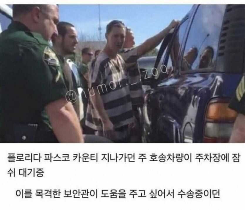 수어사이드 스쿼드 현실판1.jpg