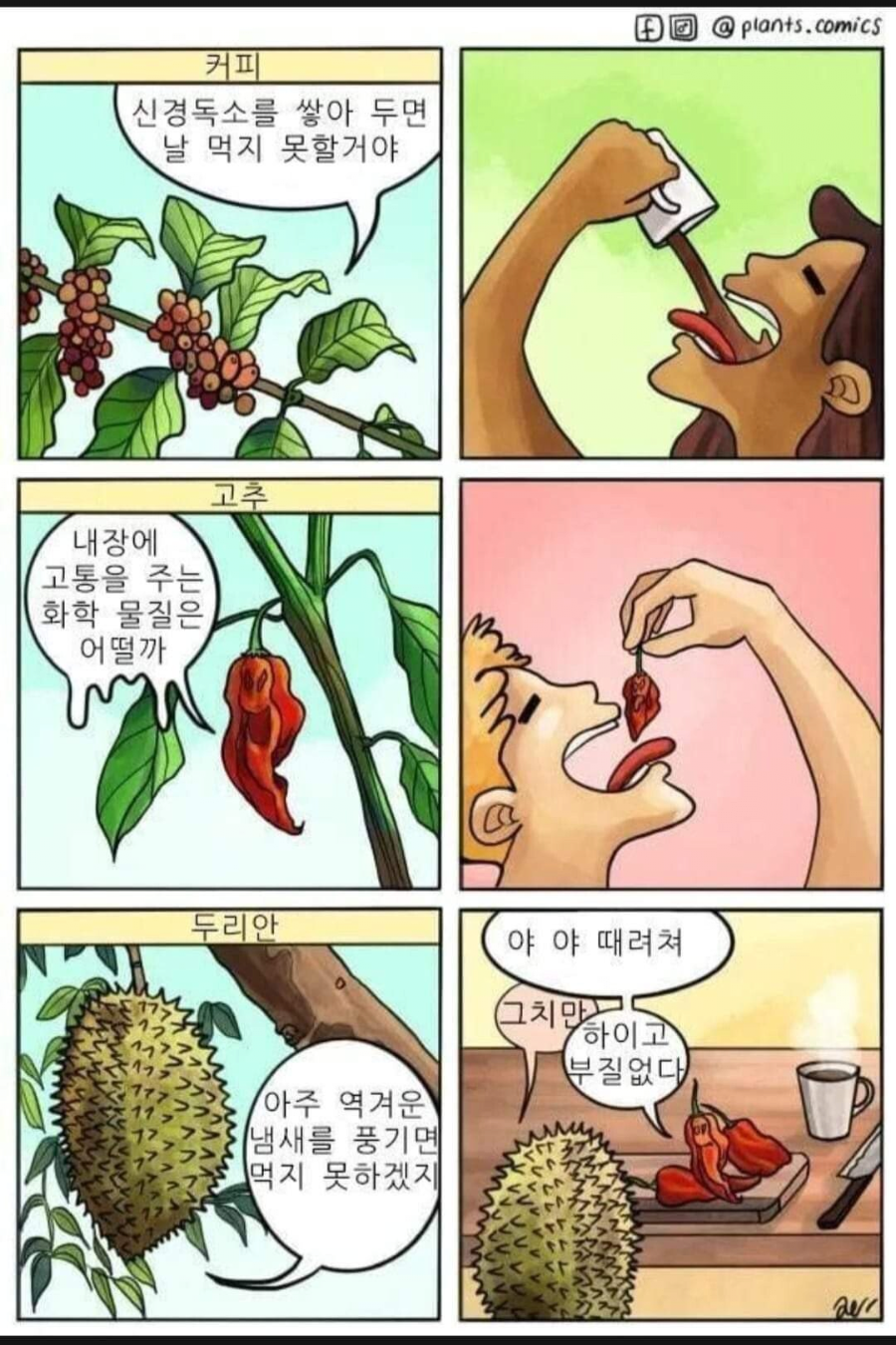 진짜 어떻게 음식이 됐을까.png