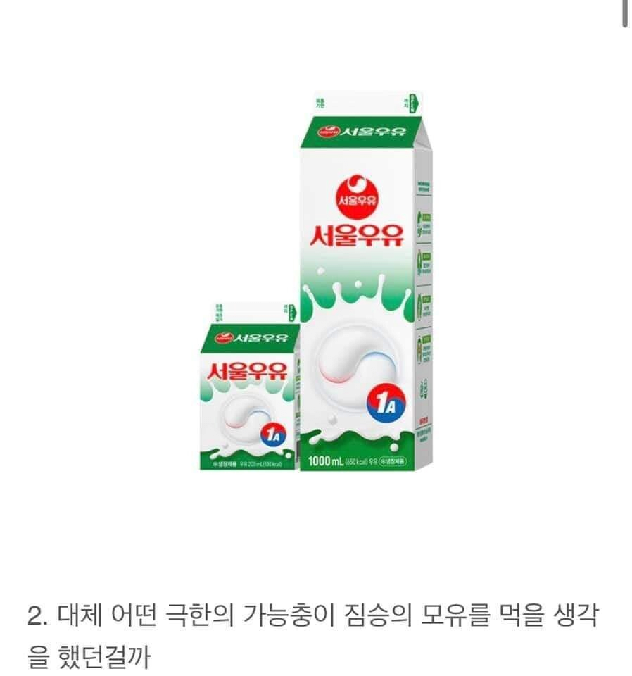 진짜 어떻게 음식이 됐을까2.png