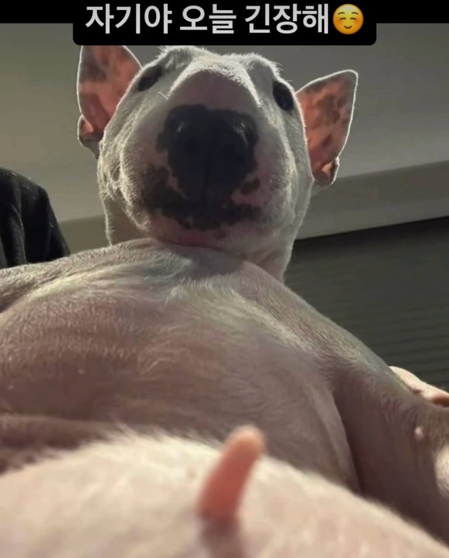 자기야 오늘 긴장해.jpg