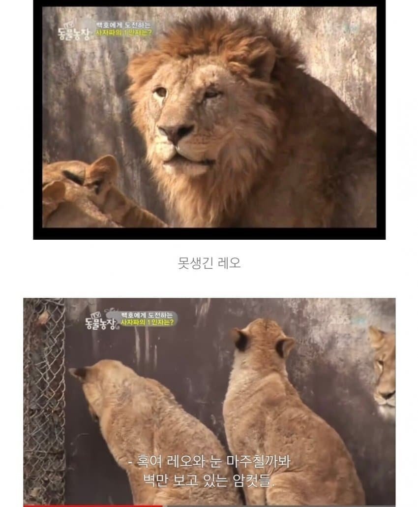 사람만 외모를 보는 것이 아님.jpeg