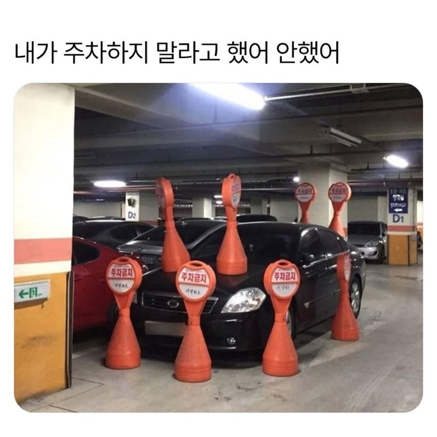 내가 주차하지 말라 했어 안했어.jpg