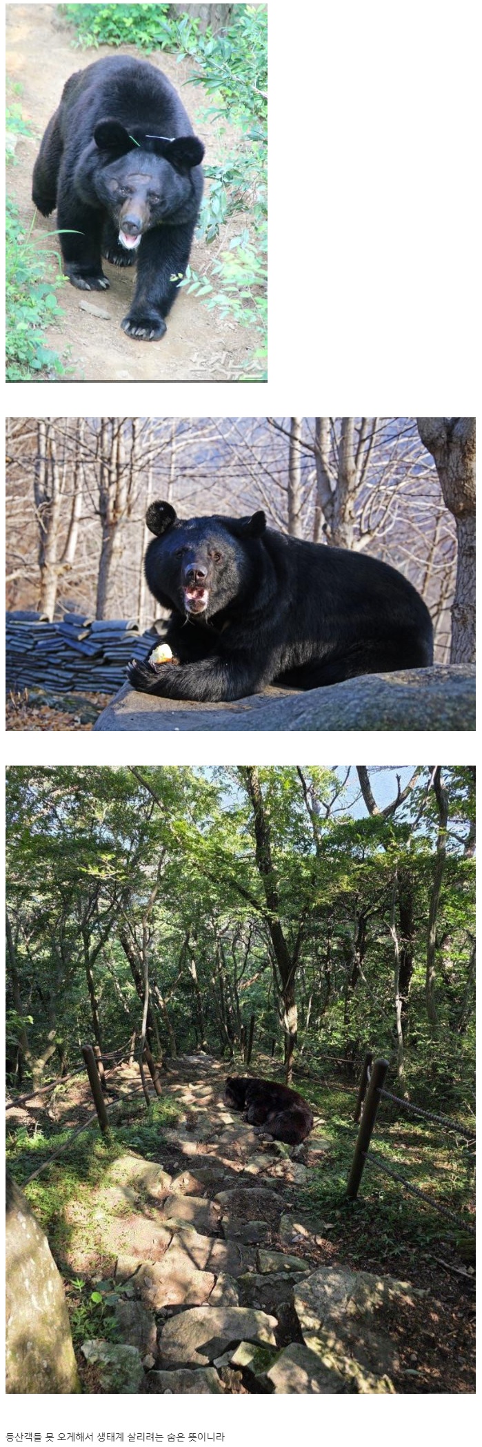 제목 없음.jpg