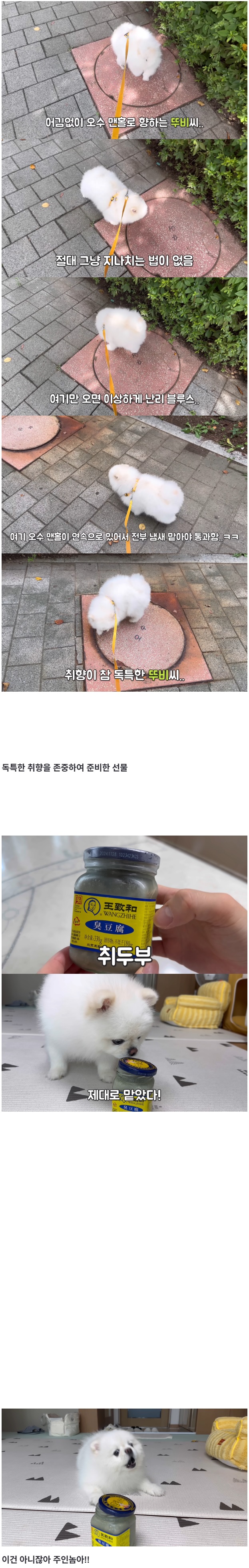 제목 없음.jpg
