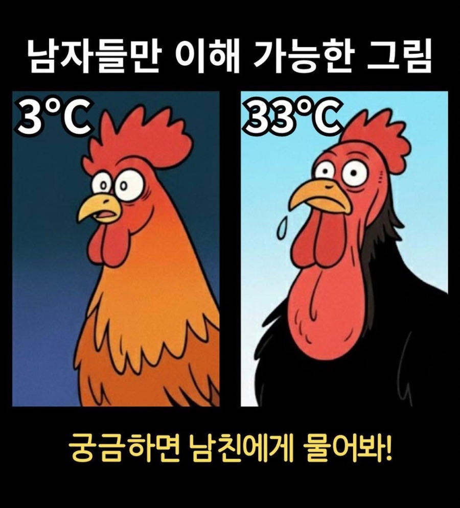 남자들만 이해하는 짤.jpg