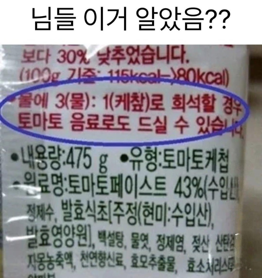 케챂의 이중생활.jpg