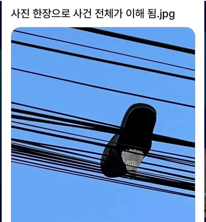 사진 한장으로 사건 전체가 이해 됨.png