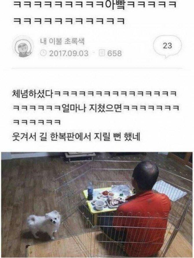 댕댕이에게 너무지친 아버지.jpg