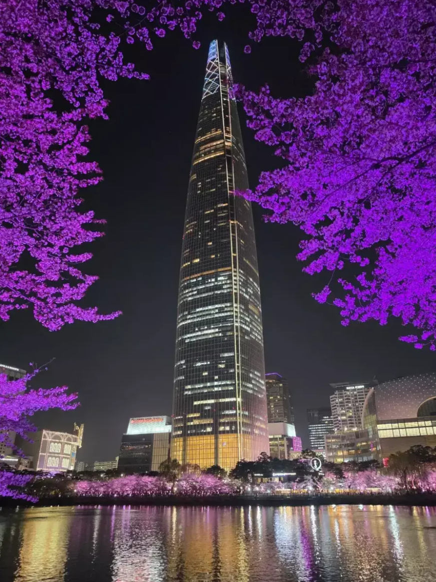 석촌호수 근황.png