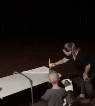 집중해.gif
